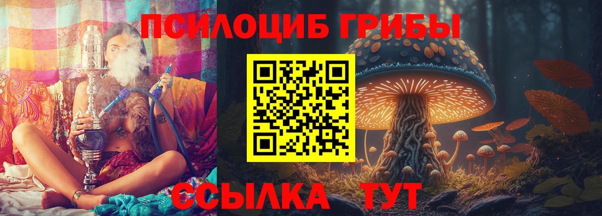 Галлюциногенные грибы Psilocybine cubensis  Вход с VPN  Подольск 